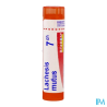 Lachesis mutus 7ch tg b - La Grande Pharmacie