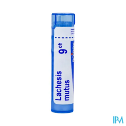 Lachesis mutus 9ch tg b - La Grande Pharmacie