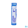 Lachesis mutus 9ch tg b - La Grande Pharmacie