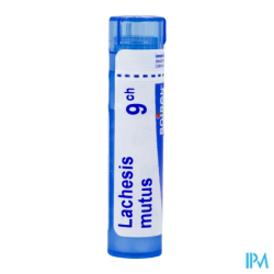 Lachesis mutus 9ch tg b - La Grande Pharmacie