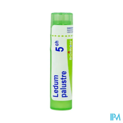 Ledum palustre 5ch tg b - La Grande Pharmacie