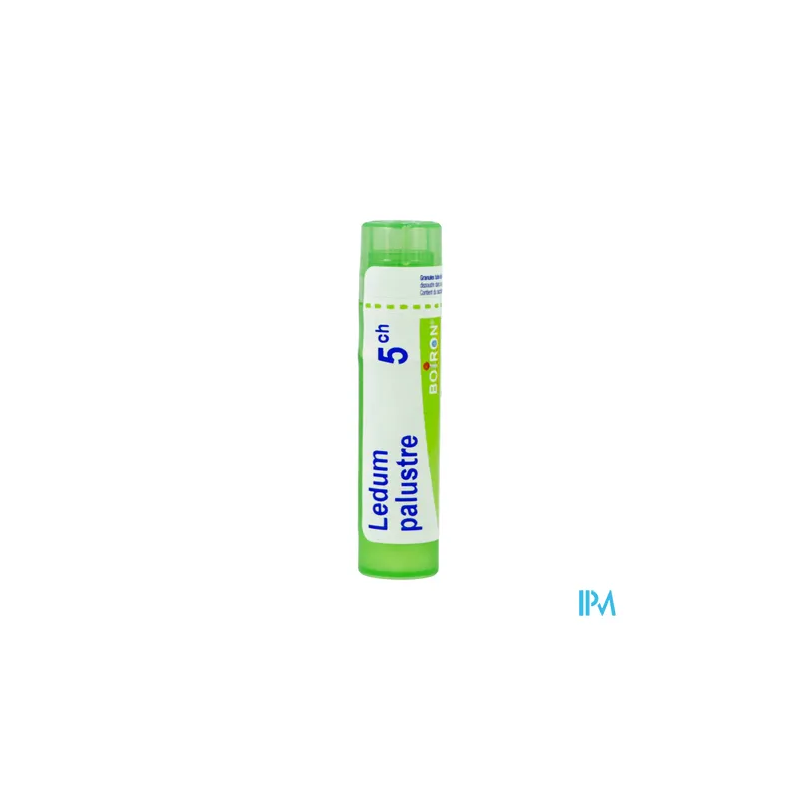 Ledum palustre 5ch tg b - La Grande Pharmacie