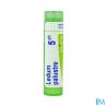 Ledum palustre 5ch tg b - La Grande Pharmacie