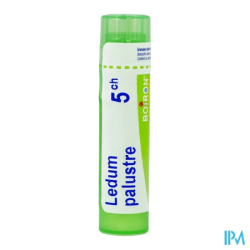 Ledum palustre 5ch tg b - La Grande Pharmacie