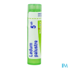Ledum palustre 5ch tg b - La Grande Pharmacie