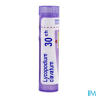 Lycopodium clav 30ch tg b - La Grande Pharmacie
