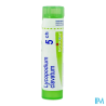 Lycopodium clav 5ch tg b - La Grande Pharmacie