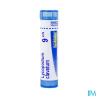 Lycopodium clav 9ch tg b - La Grande Pharmacie