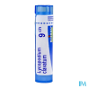 Lycopodium clav 9ch tg b - La Grande Pharmacie