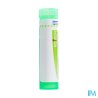 Myristica sebif 5ch tg b - La Grande Pharmacie