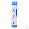 Nux vomica 9ch tg b - La Grande Pharmacie