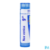 Nux vomica 9ch tg b - La Grande Pharmacie