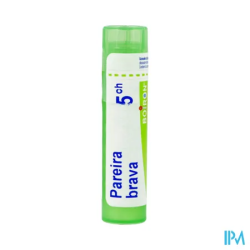 Pareira brava 5ch tg b - La Grande Pharmacie