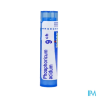 Phosphoricum ac 9ch tg b - La Grande Pharmacie