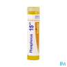 Phosphorus 15ch tg b - La Grande Pharmacie