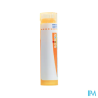 Pulsatilla 15ch tg b - La Grande Pharmacie