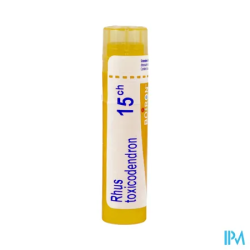 Rhus tox 15ch tg b - La Grande Pharmacie
