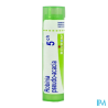Robinia pseud ac 5ch tg b - La Grande Pharmacie