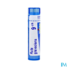 Ruta graveolens 9ch tg b - La Grande Pharmacie