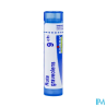 Ruta graveolens 9ch tg b - La Grande Pharmacie