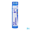 Ruta graveolens 9ch tg b - La Grande Pharmacie