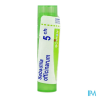 Sabadilla off 5ch tg b - La Grande Pharmacie