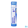 Sabadilla off 9ch tg b - La Grande Pharmacie