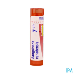 Sanguinaria can 7ch tg b - La Grande Pharmacie