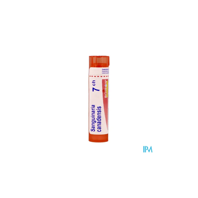 Sanguinaria can 7ch tg b - La Grande Pharmacie