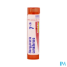 Sanguinaria can 7ch tg b - La Grande Pharmacie