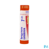 Sanguinaria can 7ch tg b - La Grande Pharmacie
