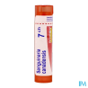 Sanguinaria can 7ch tg b - La Grande Pharmacie