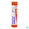 Sanguinaria can 7ch tg b - La Grande Pharmacie