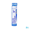 Secale cornutum 9ch tg b - La Grande Pharmacie