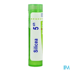 Silicea 5ch tg b - La Grande Pharmacie