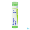 Spongia tosta 5ch tg b - La Grande Pharmacie