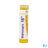 Staphysagria 15ch tg b - La Grande Pharmacie