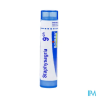 Staphysagria 9ch tg b - La Grande Pharmacie