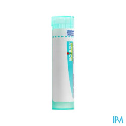 Stramonium 200k tg b - La Grande Pharmacie