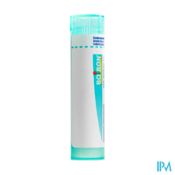Stramonium 200k tg b - La Grande Pharmacie