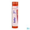 Sulfur 7ch tg b - La Grande Pharmacie
