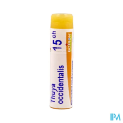 Thuya occident 15ch do gl b - La Grande Pharmacie