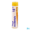 Thuya occident 15ch do gl b - La Grande Pharmacie
