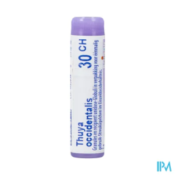 Thuya occident 30ch do gl b - La Grande Pharmacie