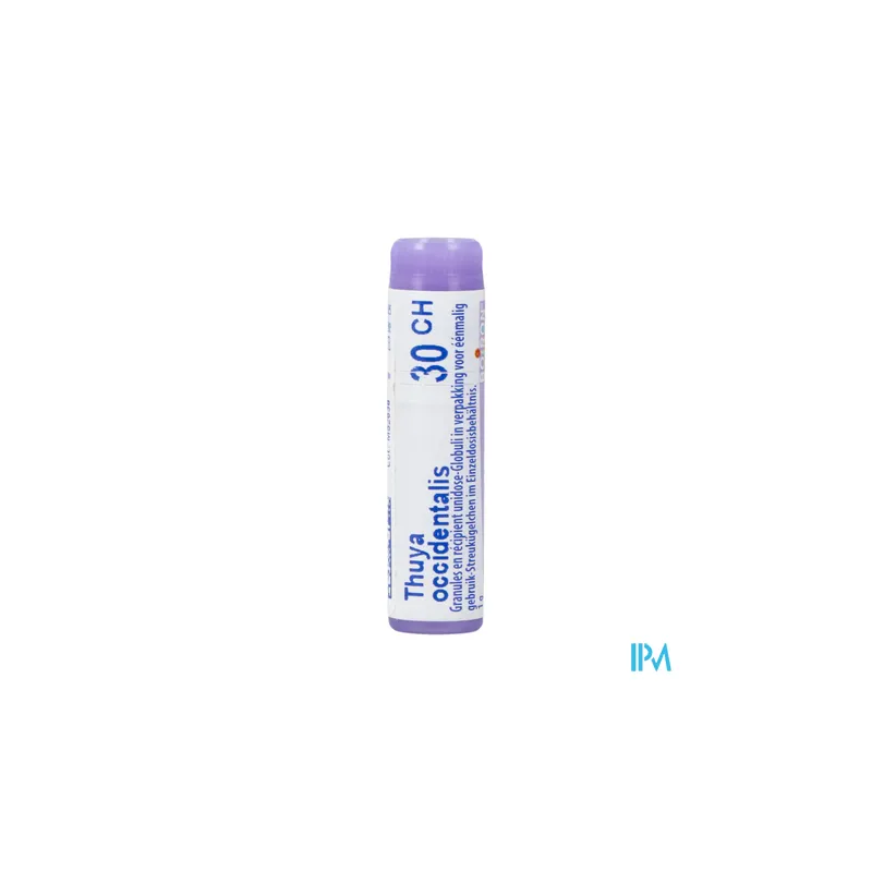 Thuya occident 30ch do gl b - La Grande Pharmacie
