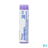 Thuya occident 30ch do gl b - La Grande Pharmacie