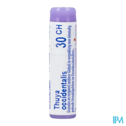 Thuya occident 30ch do gl b - La Grande Pharmacie
