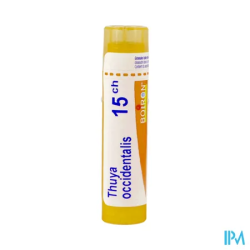 Thuya occident 15ch tg b - La Grande Pharmacie