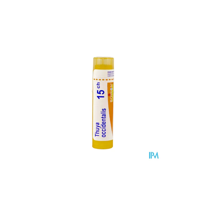 Thuya occident 15ch tg b - La Grande Pharmacie