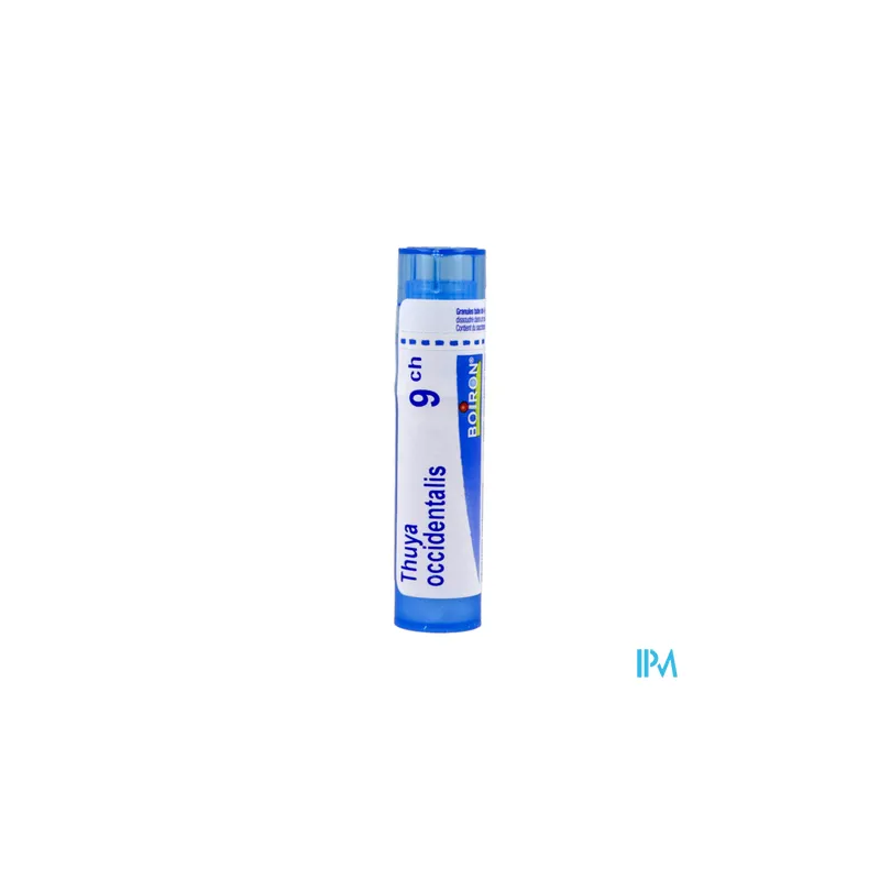 Thuya occident 9ch tg b - La Grande Pharmacie